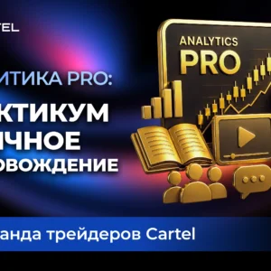 Аналитика PRO: Практикум и личное сопровождение Дмитрия Сукиасова